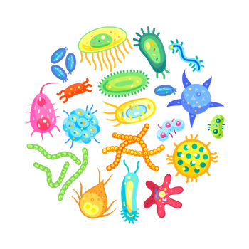 Your microbiome is a massive ecosystem of bacteria all living in your gut